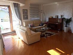 ZEMUN / GORNJI GRAD, GORNJOGRADSKA, ZEMUN, 5.0