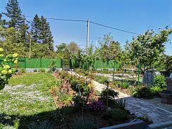 FRUSKA GORA-BANSTOL, , , 0.0