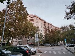 NOVI BGD / ARENA, ANTIFASISTICKE BORBE, NOVI BEOGRAD, 3.0